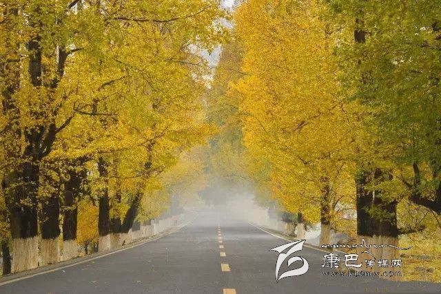 康定新都橋，有一條黃金大道通往夢中的天堂