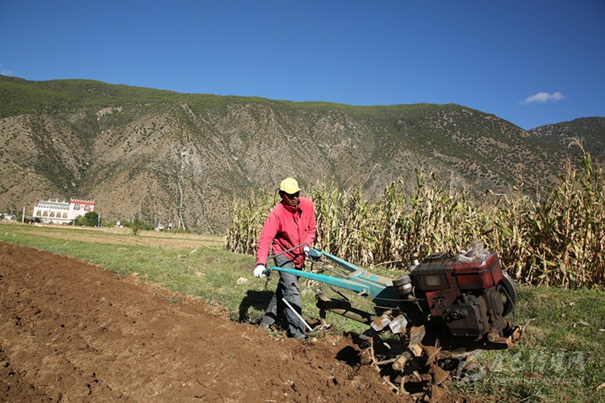田園藏鄉(xiāng)美如畫(huà)，百姓脫貧喜在心