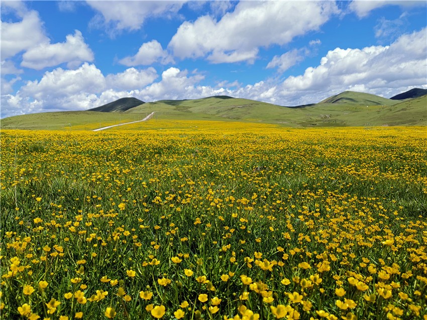 祝?；ê? 任剛.jpg