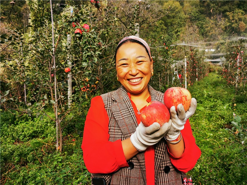 喜獲豐收.jpg 喜獲豐收.jpg