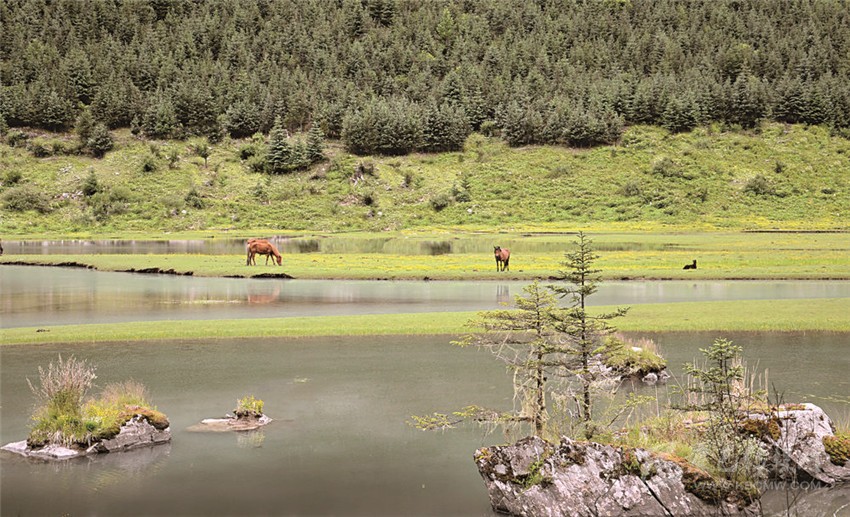 去甘孜 邂逅絕美湖泊海子！