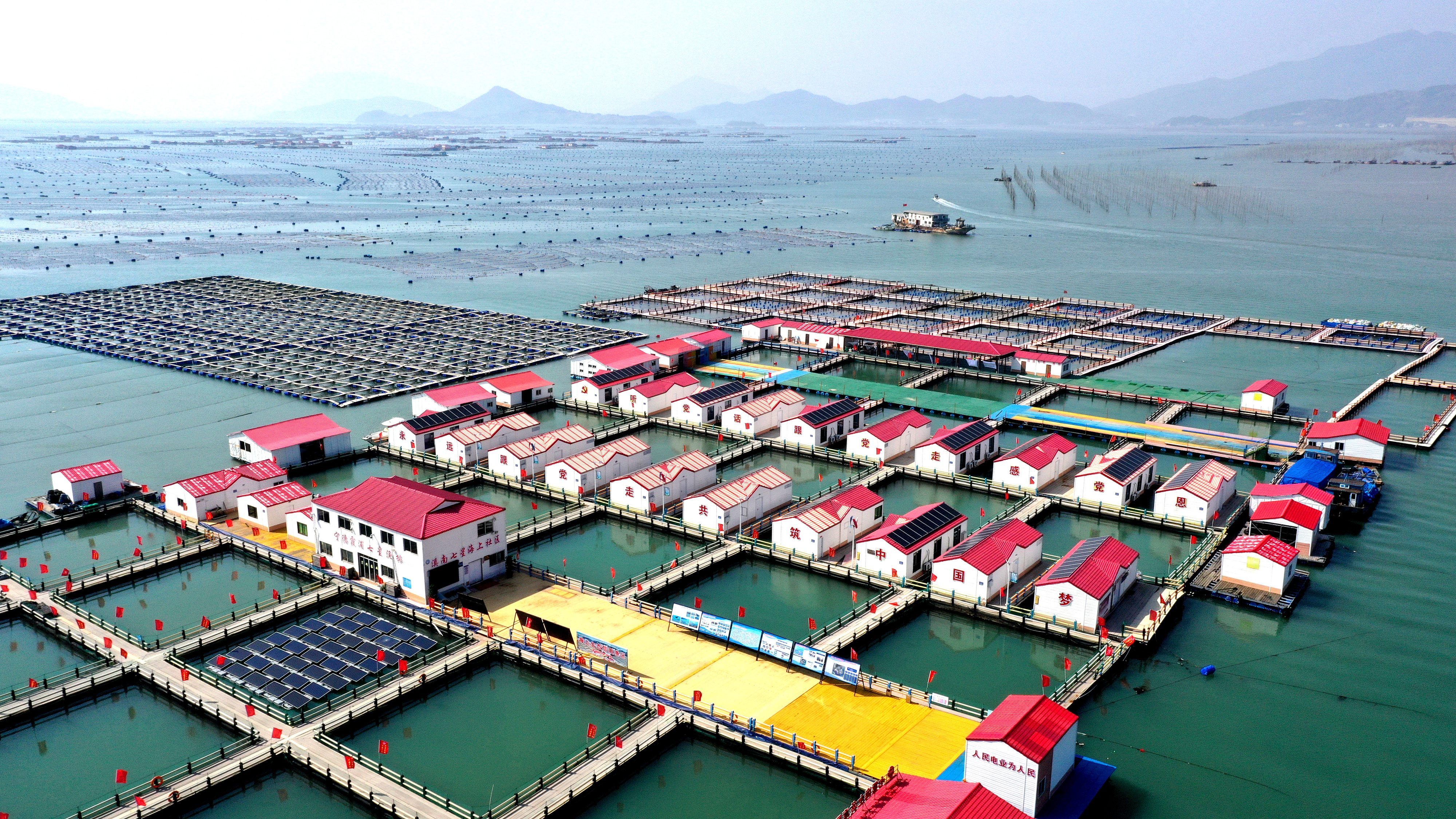 2024年3月20日，福建省寧德市，霞浦縣溪南鎮(zhèn)七星村漁排養(yǎng)殖示范區(qū)，漁民駕駛養(yǎng)殖船進(jìn)行海參養(yǎng)殖作業(yè)。